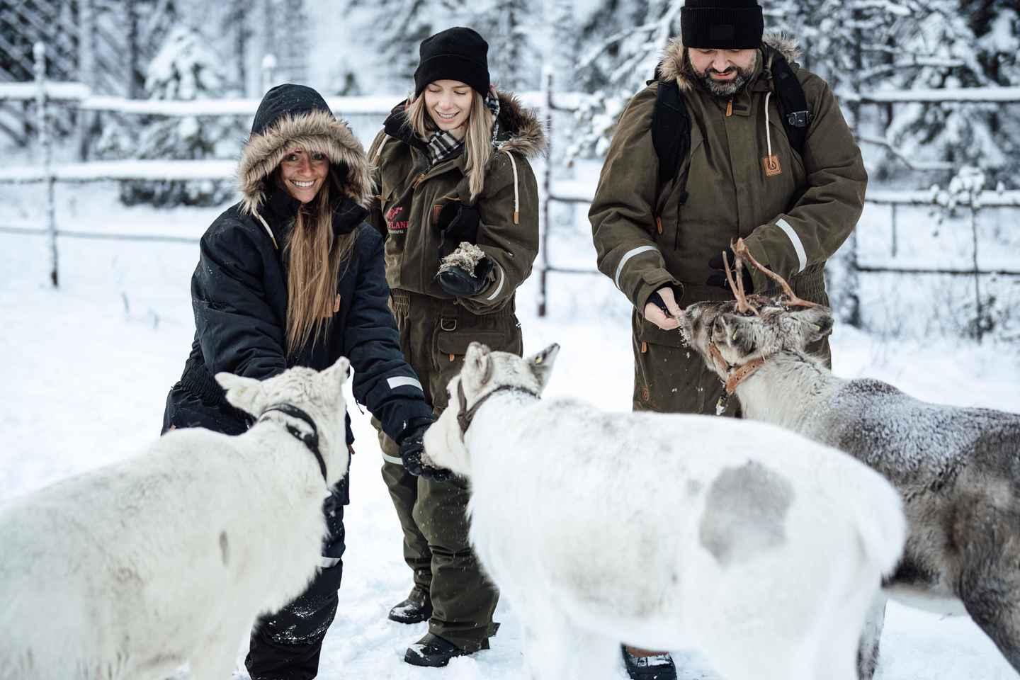 Ranua: Lupland Activity Park Entry with Reindeer Experience