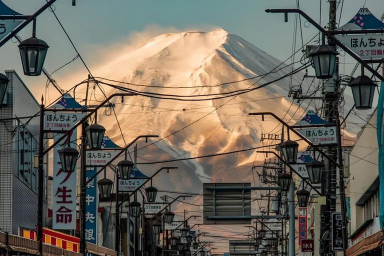 Mount Fuji Or Hakone Private Tour From Tokyo (Customizable) Van ( Toyota Vellfire or Alphard)