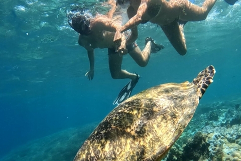 Lombok geheime Gili- en zuidwestelijke snorkeltripLombok geheime gili