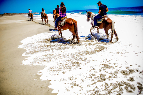 Cabo San Lucas: Reiten in Migriño mit Transfers