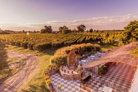 Luxury Experience in Carmelo: Wine and Food Tasting in Narbona Luxury Experience in Carmelo: Wines and Food Tasting in Narbonne