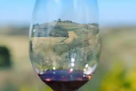 Montepulciano: Visita y cata de vinos