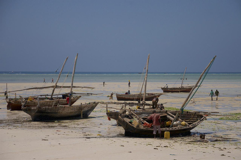 Excursión a Mnemba y los delfines desde kendwa o nungwi