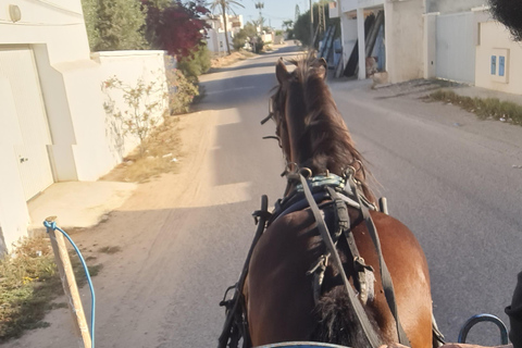 Djerba: Sunset Carriage Ride to Flamingo Island Djerba: Sunset Carriage Ride to Pink Flamingo Island