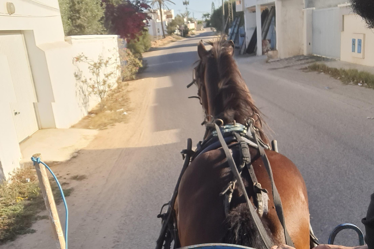 Djerba: Sunset Carriage Ride to Flamingo Island Djerba: Sunset Carriage Ride to Pink Flamingo Island