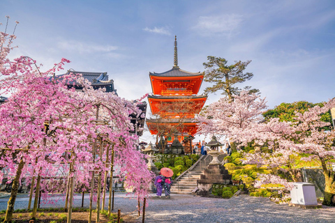 Kioto: Kiyomizu-dera y Fushimi Inari: tour de medio día