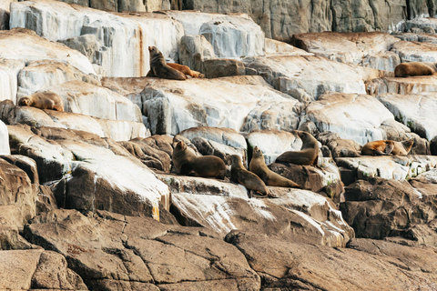 Desde Port Arthur Crucero por la naturaleza de la Isla TasmanDesde Port Arthur: crucero por el desierto de la isla de Tasmania
