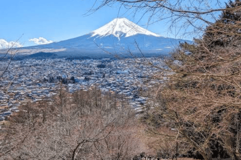 From Tokyo: Mount Fuji Full Day Customizable Private Tour