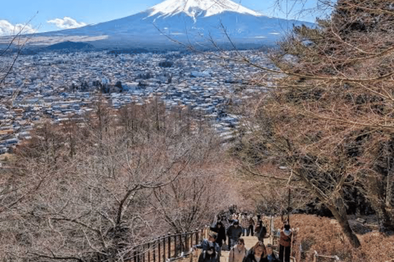 From Tokyo: Mount Fuji Full Day Customizable Private Tour