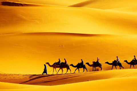Hammamet/Sousse/Mahdia: Sahara Dreams 2 Days Tour