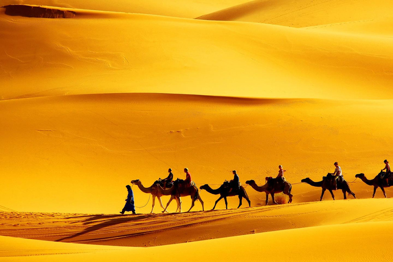 Hammamet/Sousse/Mahdia: Sahara Dreams 2 Days Tour