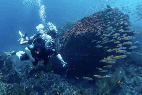 Phi Phi: Scuba diving with Portuguese speaking instructor Phi Phi Island: Scuba diving with Portuguese instructor