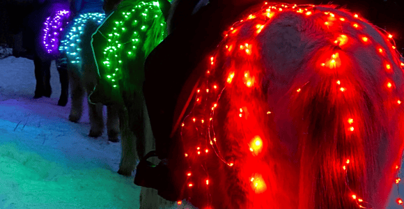 Levi: Glow Riding at Night on Horseback in Winter Wonderland
