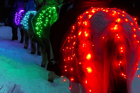 Levi: Glow Riding in the Winter Wonderland Incl. Pick Up from Levi at Design Hotel Levi