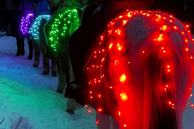 Levi: Glow Riding in the Winter Wonderland Incl. Pick Up from Levi at Design Hotel Levi