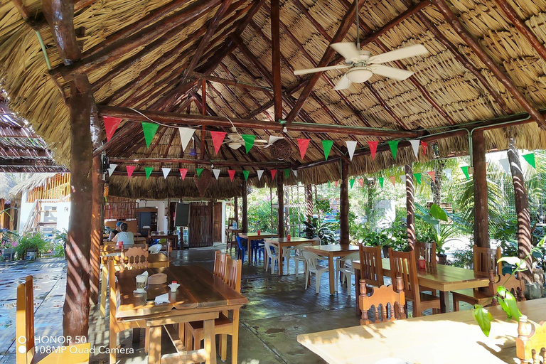 Privé: Punta Cana: buggytour met zwemmen in cenote &amp; MacaoPrivé: Punta Cana: Buggytocht met zwemmen in cenote &amp; Macao