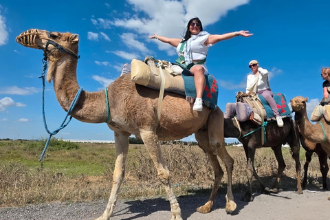 Hammamet: Combo Horse and Camel Ride in Nature Hammamamet: Combo Horse and Camel Ride in Nature