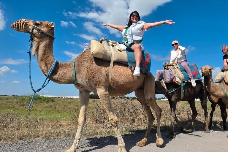 Hammamet: Combo Horse and Camel Ride in Nature Hammamamet: Combo Horse and Camel Ride in Nature