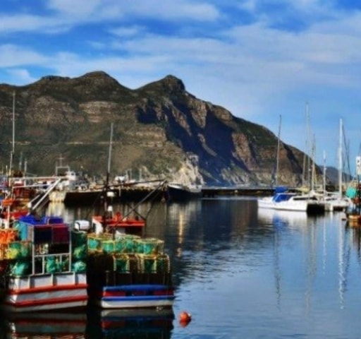 Cape Town: houtbay scenic tour ,seal island ,world of birds.