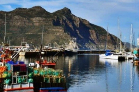 Kapstadt: houtbay scenic tour ,seal island ,world of birds.