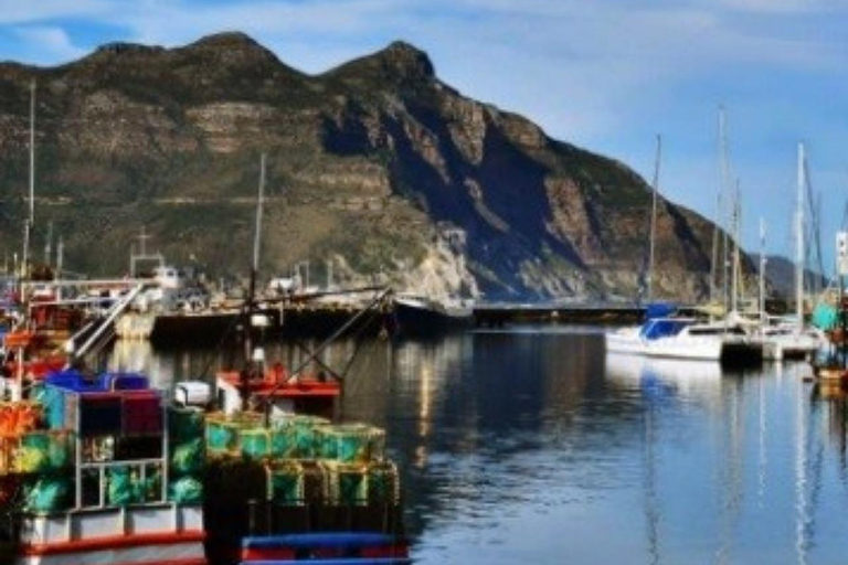 Kaapstad: houtbay scenic tour, zeehondeneiland, vogelwereld.