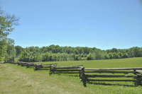 Shiloh Battlefield, tour audio autoguidato interattivo - Housity