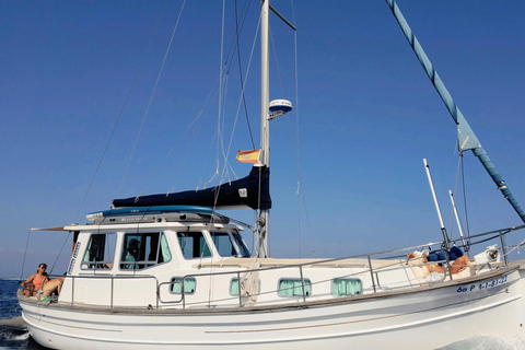 Palma: Private Classic Mallorcan Boat Tou Palma Bay: Cruise to Sea Caves or Calas with tapas & drinks