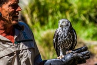Melbourne, Puffing Billy & Healesville Sanctuary Scenic Tour - Housity