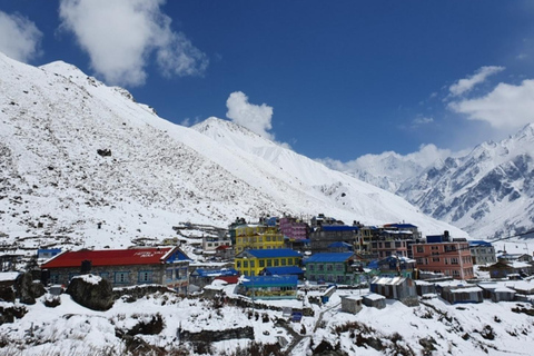 Short & Stunning: 5-Day Langtang Valley Trek from Pokhara