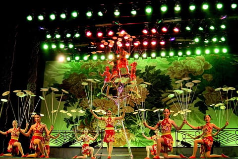 Beijing: Acrobatic Show with Peking Duck Dinner Private Tour