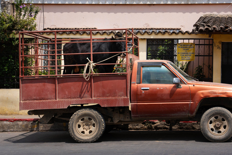 Comalapa Cultural and Farm Experience from Antigua Guatemala