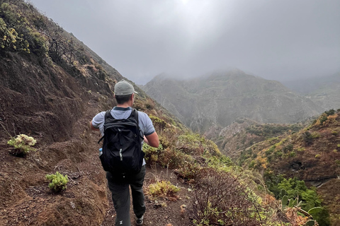 Tenerife: Anaga Hidden Gems Tour with Free Pickup Explore Anaga's hidden gem. Private tour.