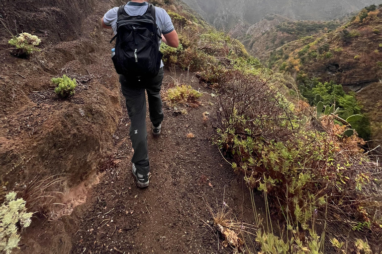 Tenerife: Anaga Hidden Gems Tour with Free Pickup Explore Anaga's hidden gem. Private tour.