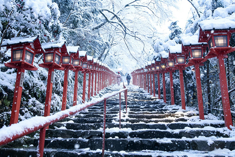 Kyoto: Arashiyama, Sanzen-in & Kifune Shrine Day Trip Departure from Osaka (Basic Package)