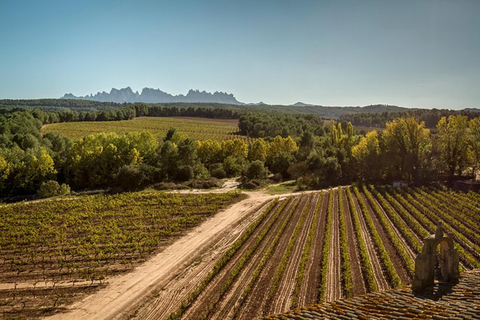 Depuis Barcelone : Visite guidée de Montserrat avec options multiplesVisite de Montserrat avec déjeuner traditionnel et vin