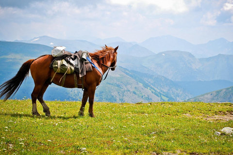 Kazbegi tour guiado