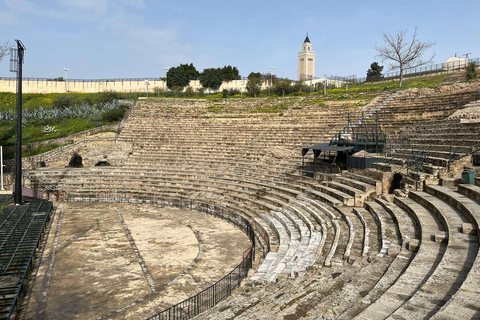 Tunis, Carthage & Bardo Museum: A Journey Through History From Mahdia
