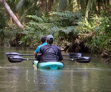 Quepos: Excursión en Kayak por los Manglares Cerca del Parque Manuel Antonio