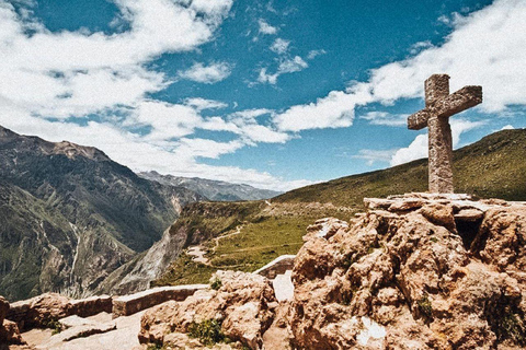 From Arequipa: Colca Canyon and Condor Watching Day Trip