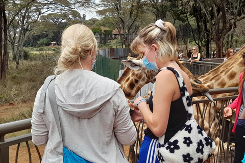 Nairobi: Parco nazionale, orfanotrofio degli elefanti e tour delle giraffe