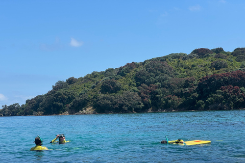 Auckland: Guided Snorkeling Tour and Island Exploration
