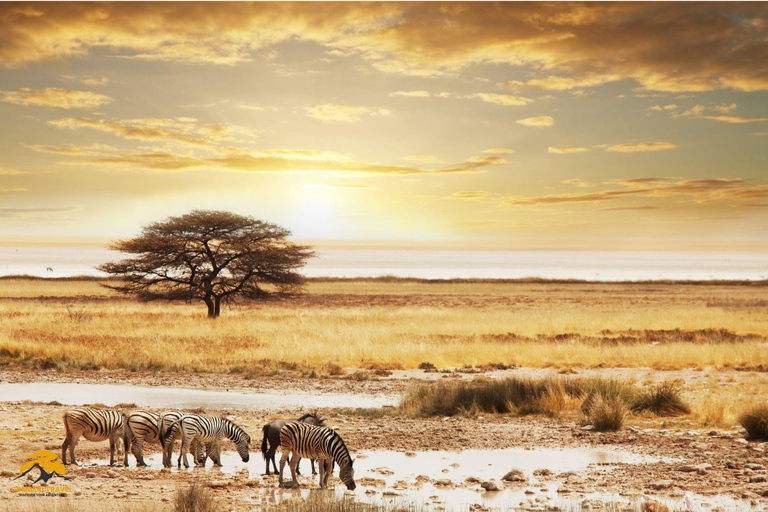 3-Day Wildlife Wonder! Tarangire, Lake Manyara & Ngorongoro.