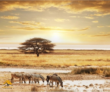 Tanzânia: Safari de 5 dias no Serengeti, Ngorongoro e muito mais .
