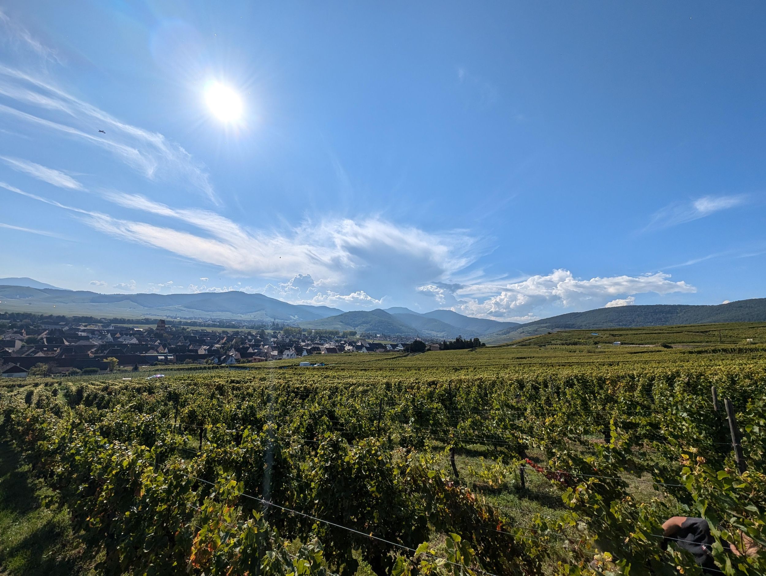 Kaysersberg Vignoble Entdecke die Weinberge und den Wein, Domaine Meyer-Krumb