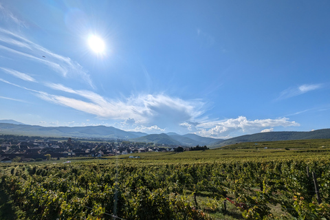 Kaysersberg Vineyard Discovery of the vineyard and wine, Domaine Meyer-Krumb Kaysersberg Vineyard Discover the vineyard and wine, Meyer-Krumb Estate