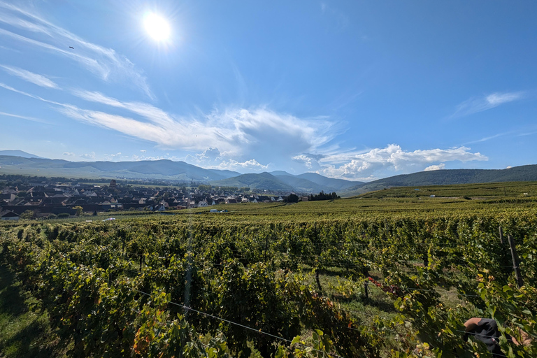 Kaysersberg Vineyard Discovery of the vineyard and wine, Domaine Meyer-Krumb Kaysersberg Vineyard Discover the vineyard and wine, Meyer-Krumb Estate