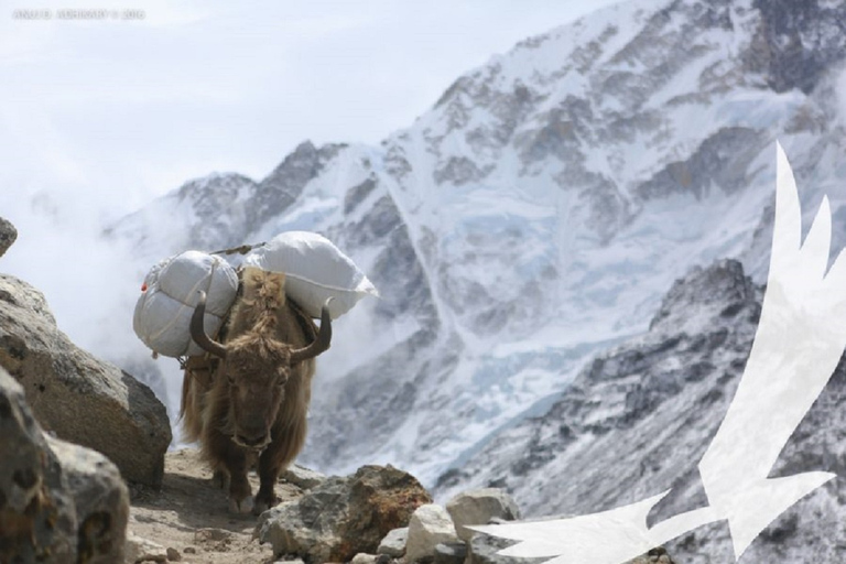 Gokyo Lakes with Everest Base Camp