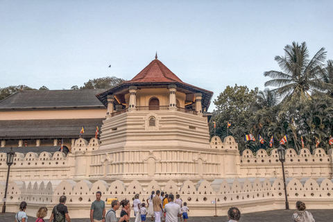 From Sigiriya: Kandy Private Tour with Dambulla Temple