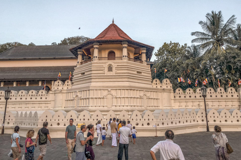From Sigiriya: Kandy Private Tour with Dambulla Temple