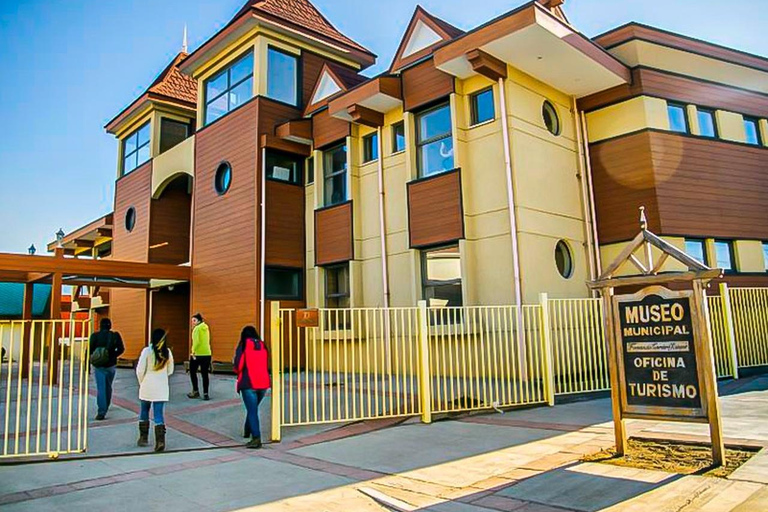 Punta Arenas: Full Day Tierra del Fuego & King Penguins